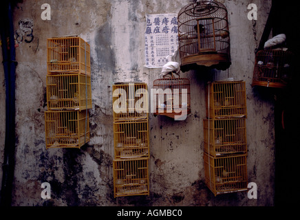 Birds in birdcages in a bird market in Mongkok in Hong Kong in China in Far East Southeast Asia. Stillness Serenity Trade Business Caged Travel Stock Photo