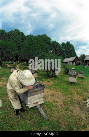 Beekeeper opens a beehive Stock Photo