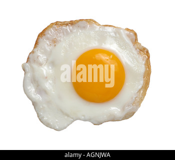 Fried Egg against a White Background Stock Photo