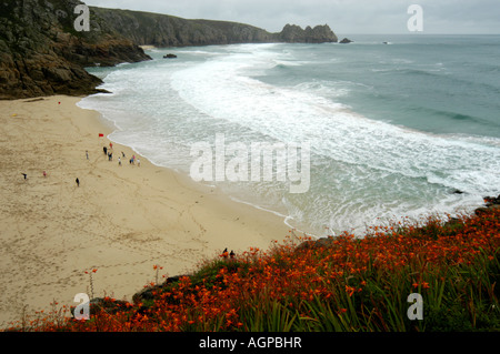 Porthcurnow beach Cornwall England UK Sea and waves with monbretia on the cliffs Stock Photo