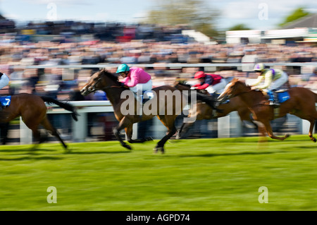 Horse racing in race for the finishing post passing the crowd with motion blur Stock Photo