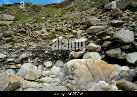 Raised beach deposit at Porth Nanven beach Cot Valley Nr St Just Cornwall England. Stock Photo