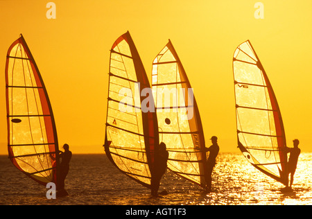 Four windsurfers silhouetted in the golden light of setting sun while sailing on the Red Sea Sinai Egypt Stock Photo