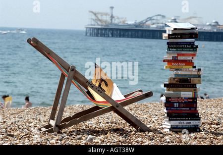 Serious summer reading. A stack of technical books on a deckchair on Brighton beach with the Pier in the background Stock Photo