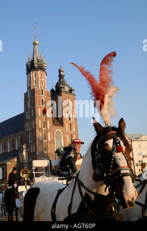 Horses on Krakow's Main Market Square Rynek Glowny with the Mariacki Church St Marys in the background Stock Photo