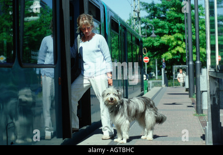 Woman with Mixed Breed Dog Stock Photo