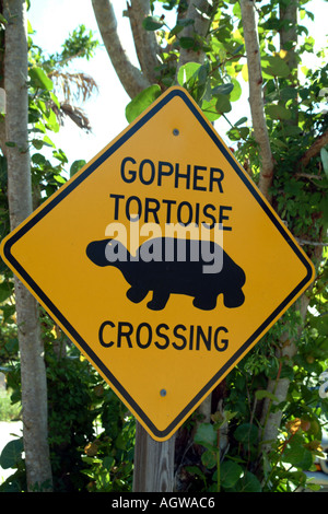 Gopher Tortoise crossing sign Wildlife Drive J J Darling refuge on Sanibel Island South West Florida fl USA Stock Photo