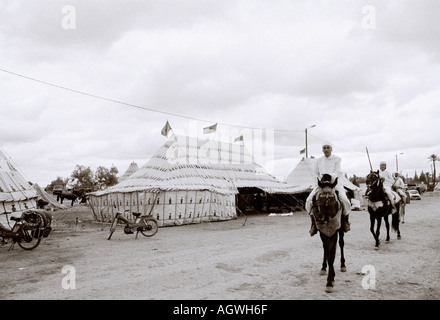 Noble Berber horsemen in Marrakech Marrakesh in Morocco in the Maghreb in North Africa Sahara. People Horse Activity Culture Moorish Reportage Travel Stock Photo