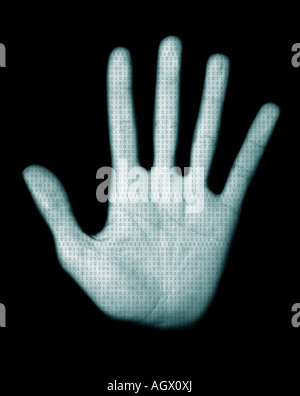 Photo of a palm print identification scan Stock Photo