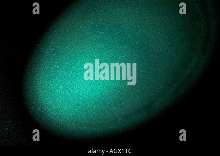 Closeup of sample of artificial invitro skin substrate with Optisol ...