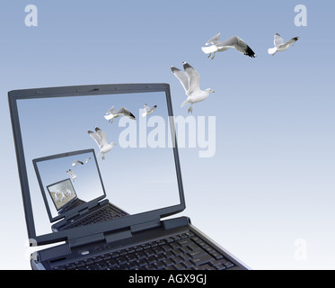 Computer generated image made by me using my own photographs Seagulls flying out of the laptop Stock Photo