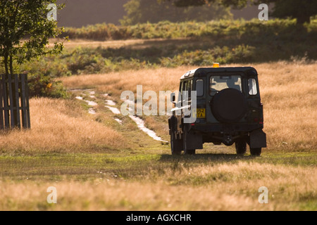 Authorities driving Land Rover car of The Royal Parks Richmond Park London UK Stock Photo