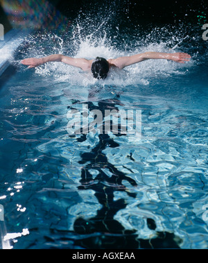 SWIMMER IN POOL BUTTERFLY STROKE Stock Photo