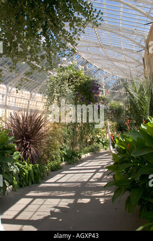 Interior of the Great Conservatory at Syon Park built by Charles Fowler in 1826 Stock Photo