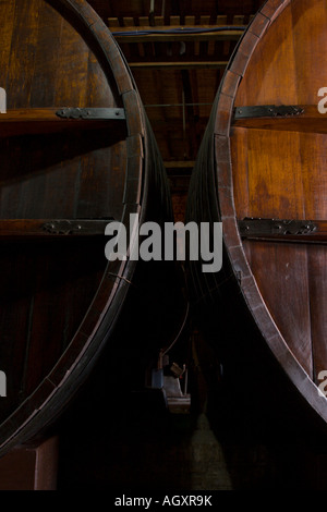 Big oak wine barrels close up in Bodega La Rural, Mendoza, Argentina. Wine museum. Stock Photo