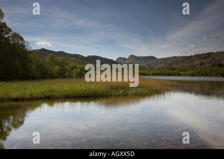 Langdale Pikes mountains reflected in the still waters of Elterwater Lake Stock Photo