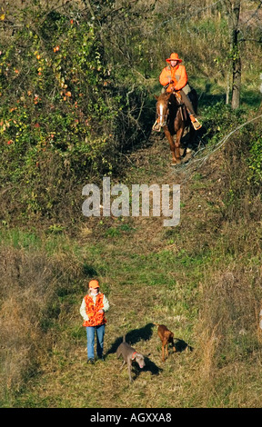Weimaraner and Vizsla With Woman Handler and Female Judge On Horseback Entering Bird Field At AKC Hunt Test Boiling Springs Kent Stock Photo