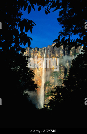 Early morning light on Angel Falls highest waterfall in the world 979m in Canaima National Park Auyantepui table mountain Venezuela Stock Photo