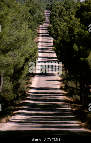 A country road through pine forrest in the north of Almeria province Stock Photo