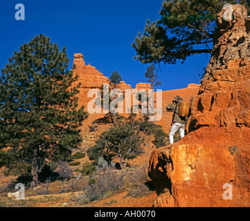 hunter looking for deer with binoculars in canyon Stock Photo