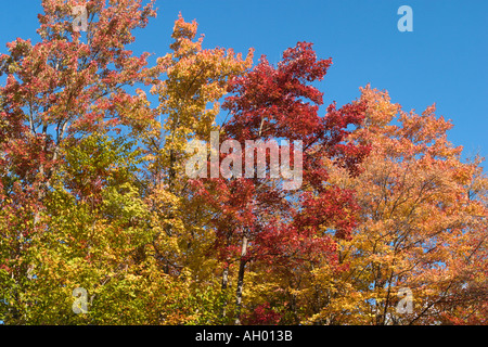 Fall Foliage in the Adirondack Mountains, New York State, USA Stock Photo