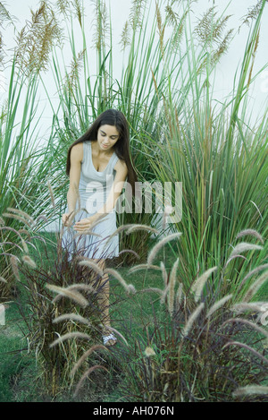 Woman standing in ornamental garden, bending over, looking at foliage Stock Photo