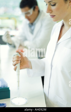 Female lab worker dropping solution into Petri dish Stock Photo