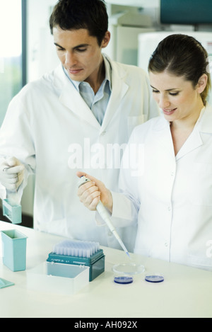 Female lab worker dropping solution into Petri dish, standing next to male colleague Stock Photo