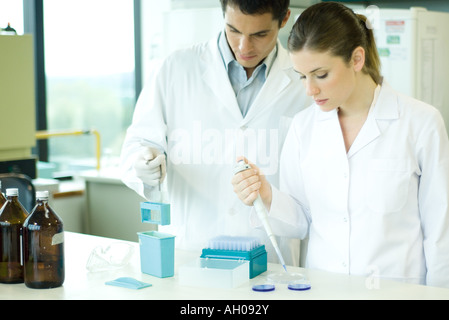 Female lab worker dropping solution into Petri dish, standing next to male colleague Stock Photo