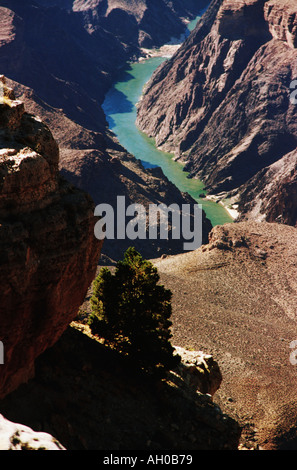 The Grand Canyon National Park Stock Photo