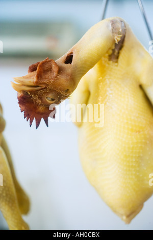 Raw Skinned Chicken Hanging Hook Stock Photo 224191501