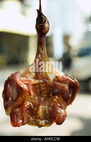 Chicken Wrapped In Rope Close up of a chicken hanging from a noose Stock Photo - Alamy
