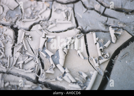 Dry mud with cracks Stock Photo