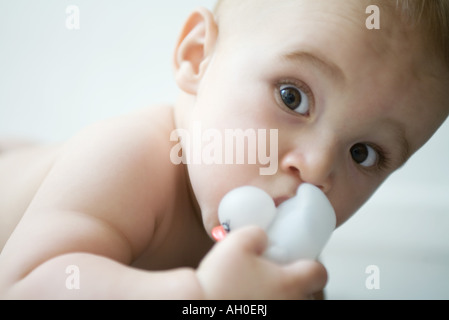 Baby looking at camera, wide eyes, holding rubber duck Stock Photo