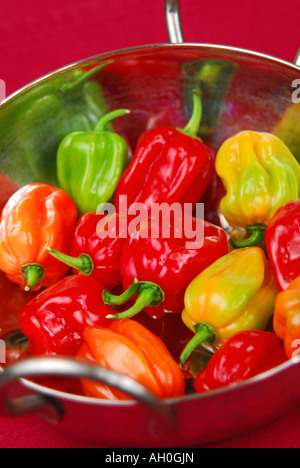 Colourful Habanero chillies (Capsicum chinense) in a bowl. Stock Photo