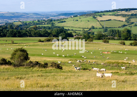 Horse riders and sheep on the slopes of Cleeve Common near Cheltenham, Gloucestershire UK Stock Photo