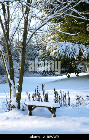 Heavy snow covers small bench under ornamental tree with dead leafed perennials behind, snow covered lawn & trees in background Stock Photo