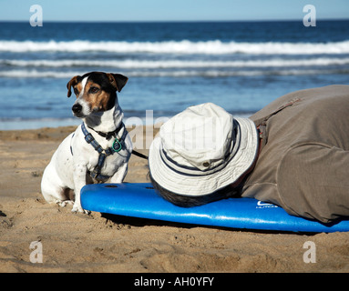 man in hat laying on a surf board at the beach with dog Stock Photo