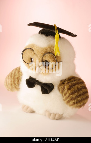 Graduation 2024 owl plush