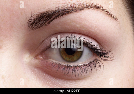 Close up womans eye Stock Photo