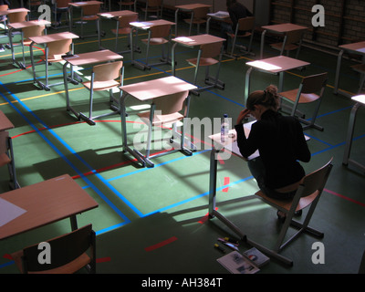 exam room with single candidate working Stock Photo