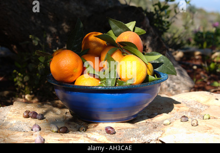 Freshly picked tangerines in November Crete Stock Photo