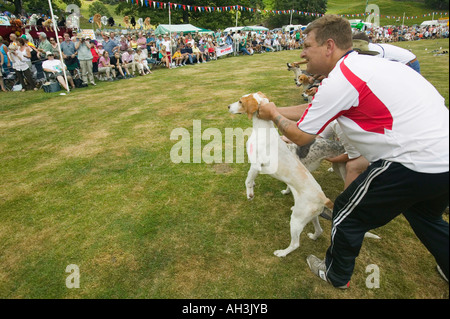 Hound Trailing at Ambleside sports, Lake district, UK Stock Photo