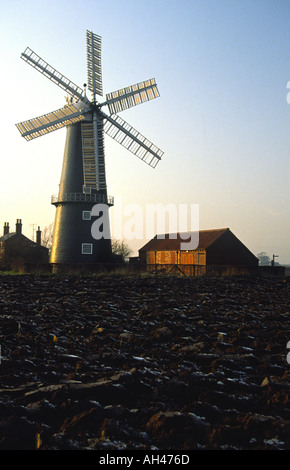 Sibsey Trader windmill Linclonshire Stock Photo