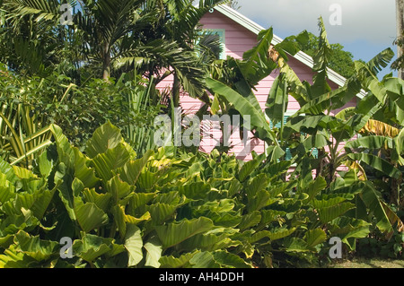 Chattel Houses, Chattel Village, Holetown, St James, Barbados Stock Photo