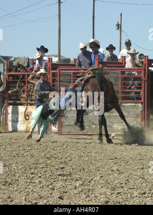 First Bronco Ride Stock Photo - Alamy
