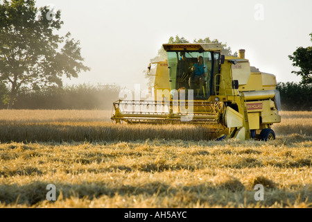 A combine harvester in a wheat field in Suffolk, UK Stock Photo