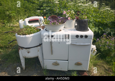 Unusual flower garden Ninilchik near Homer Alaska USA Stock Photo