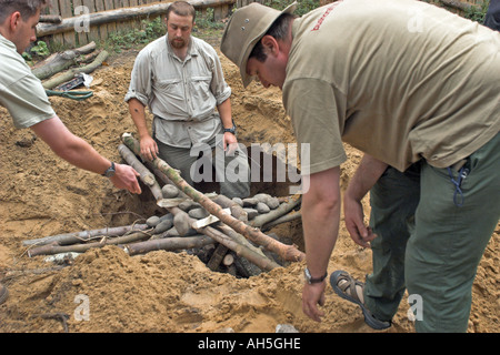 Building a Hangi, Earth Oven, at a Bushmoot. Stock Photo