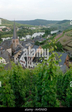 The small town Ürzig (Urzig) in western Germany, near the border to Luxembourg. Stock Photo